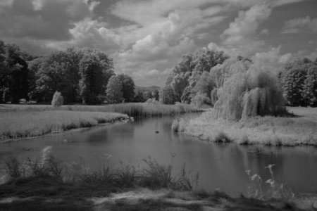 D.Krupá - Kaštieľ park